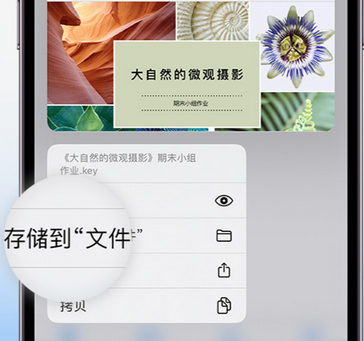 浙江apple维修中心分享iPhone文件应用中存储和找到下载文件