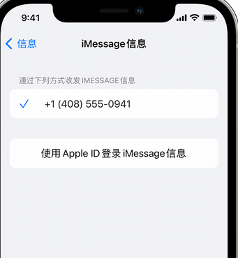 浙江apple维修iPhone上无法正常发送iMessage信息 