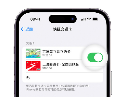 浙江apple维修点分享iPhone上更换Apple Pay快捷交通卡手绘卡面 