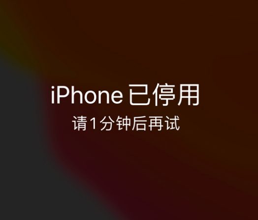 浙江苹果手机维修分享:iPhone 显示“不可用”或“已停用”怎么办？还能保留数据吗？ 