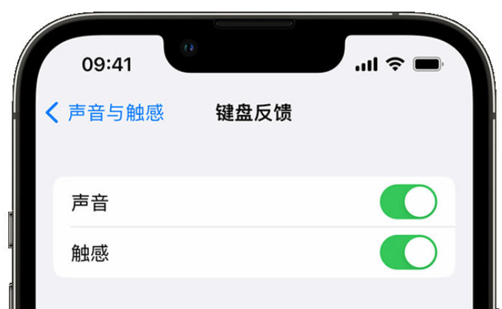 浙江苹果手机维修分享iPhone 14触感键盘使用方法 