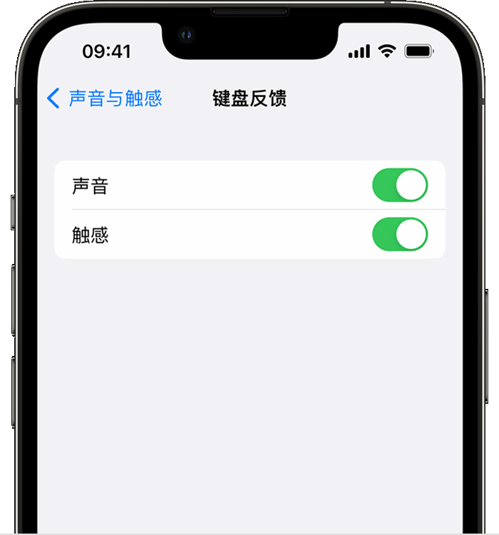 浙江苹果14维修店分享如何在 iPhone 14 机型中使用触感键盘 