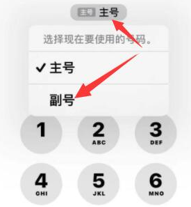 浙江苹果14维修店分享iPhone 14 Pro Max使用副卡打电话的方法 