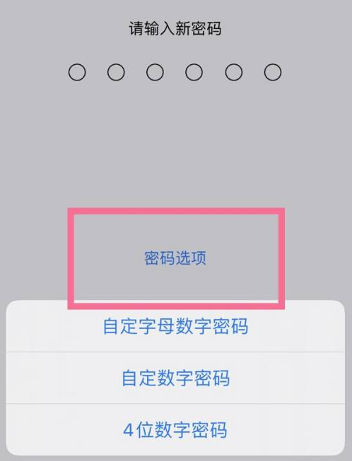 浙江苹果14维修分享iPhone 14plus设置密码的方法 