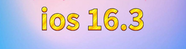 浙江苹果服务网点分享苹果iOS16.3升级反馈汇总 