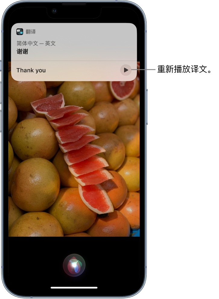 浙江苹果14维修分享 iPhone 14 机型中使用 Siri：了解 Siri 能帮你做什么 