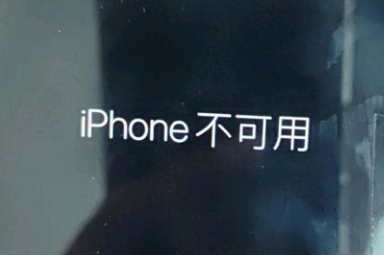 浙江苹果服务网点分享锁屏界面显示“iPhone 不可用”如何解决 