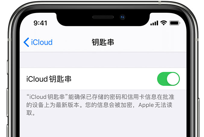 浙江苹果手机维修分享在 iPhone 上开启 iCloud 钥匙串之后会储存哪些信息 