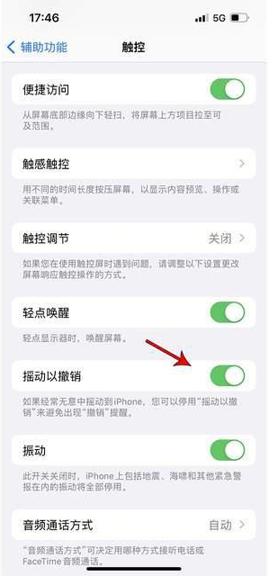 浙江苹果手机维修分享iPhone手机如何设置摇一摇删除文字 