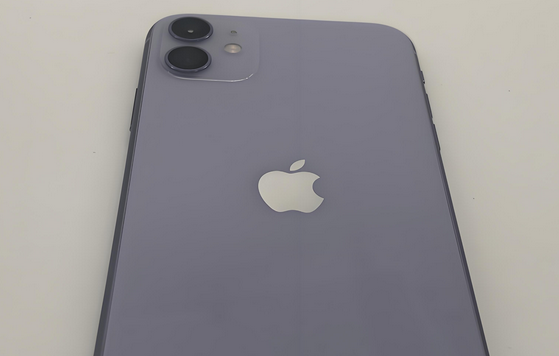 浙江苹果11系统维修分享iPhone11手机系统崩溃无法开机如何解决 